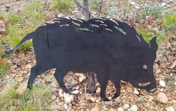 SANGLIER – Image 4