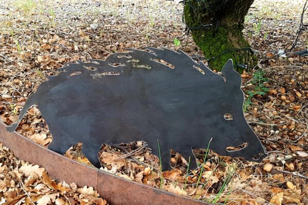 SANGLIER – Image 2
