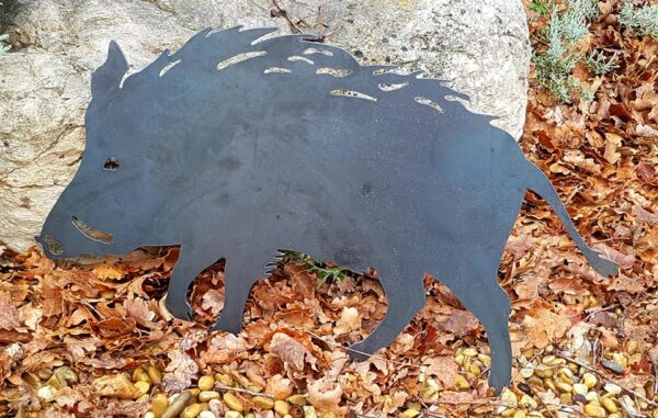 SANGLIER