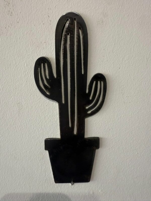CACTUS de 15 cm – Image 4