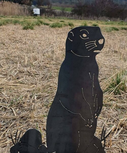 La Marmotte